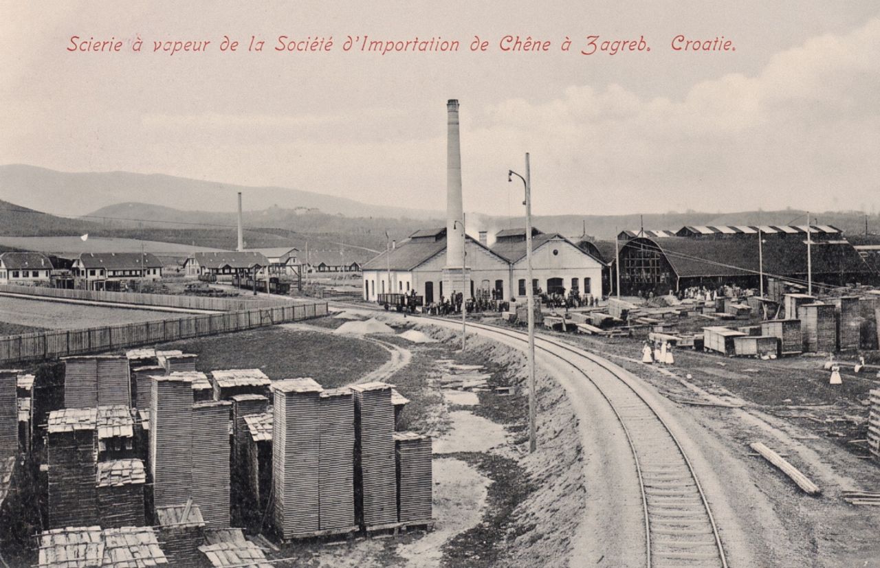 Parna pilana Društva za uvoz hrastovine u Zagrebu, Hrvatska